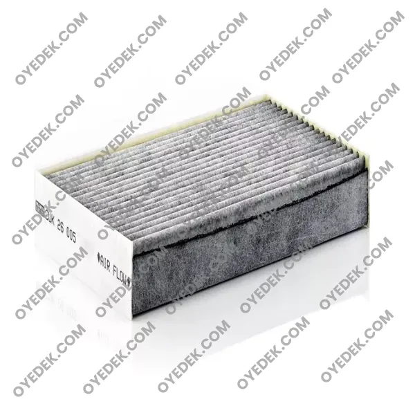 RENAULT MEGANE III Hatchback Polen Filtre Karbonlu 272773488R
